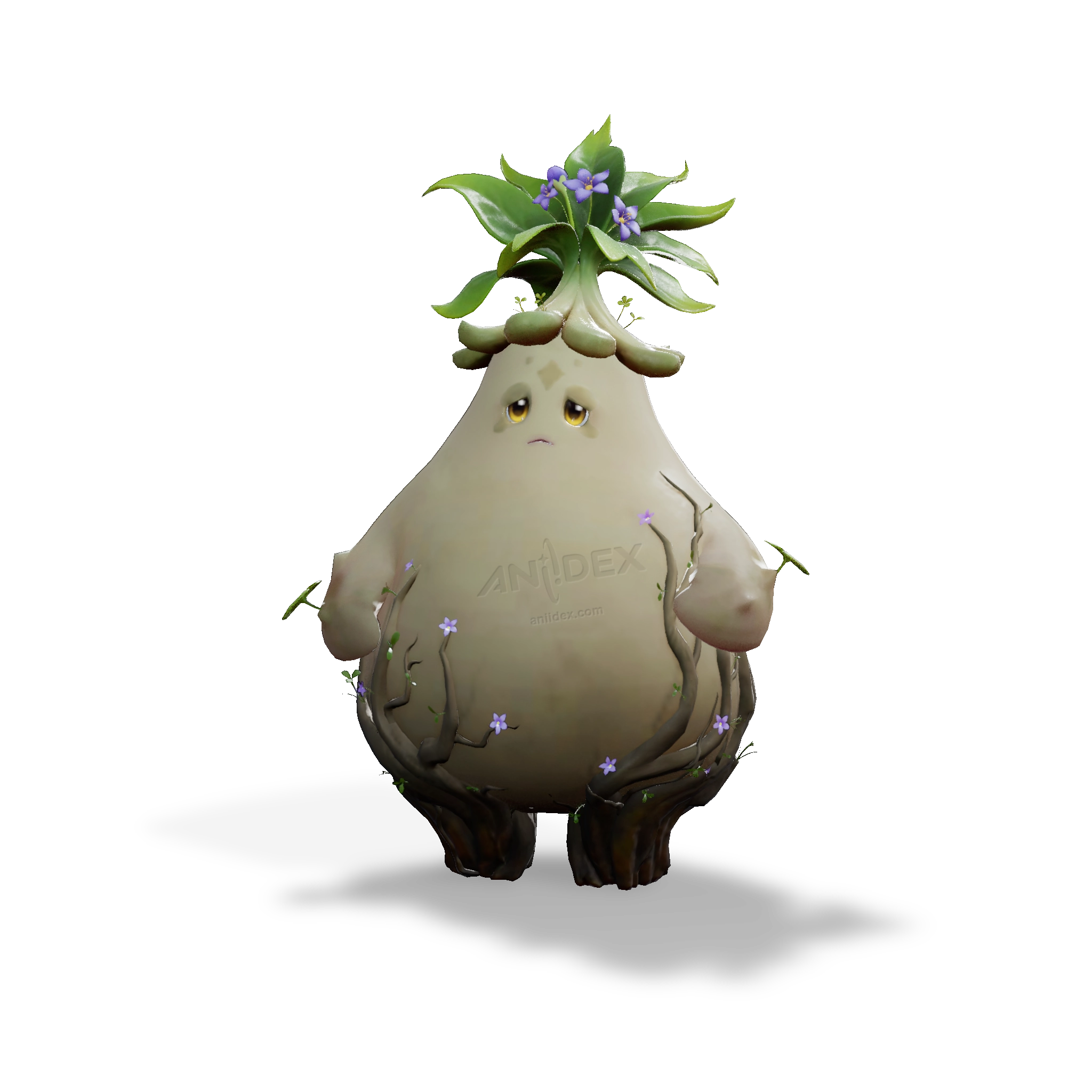 Grabon, Basisform