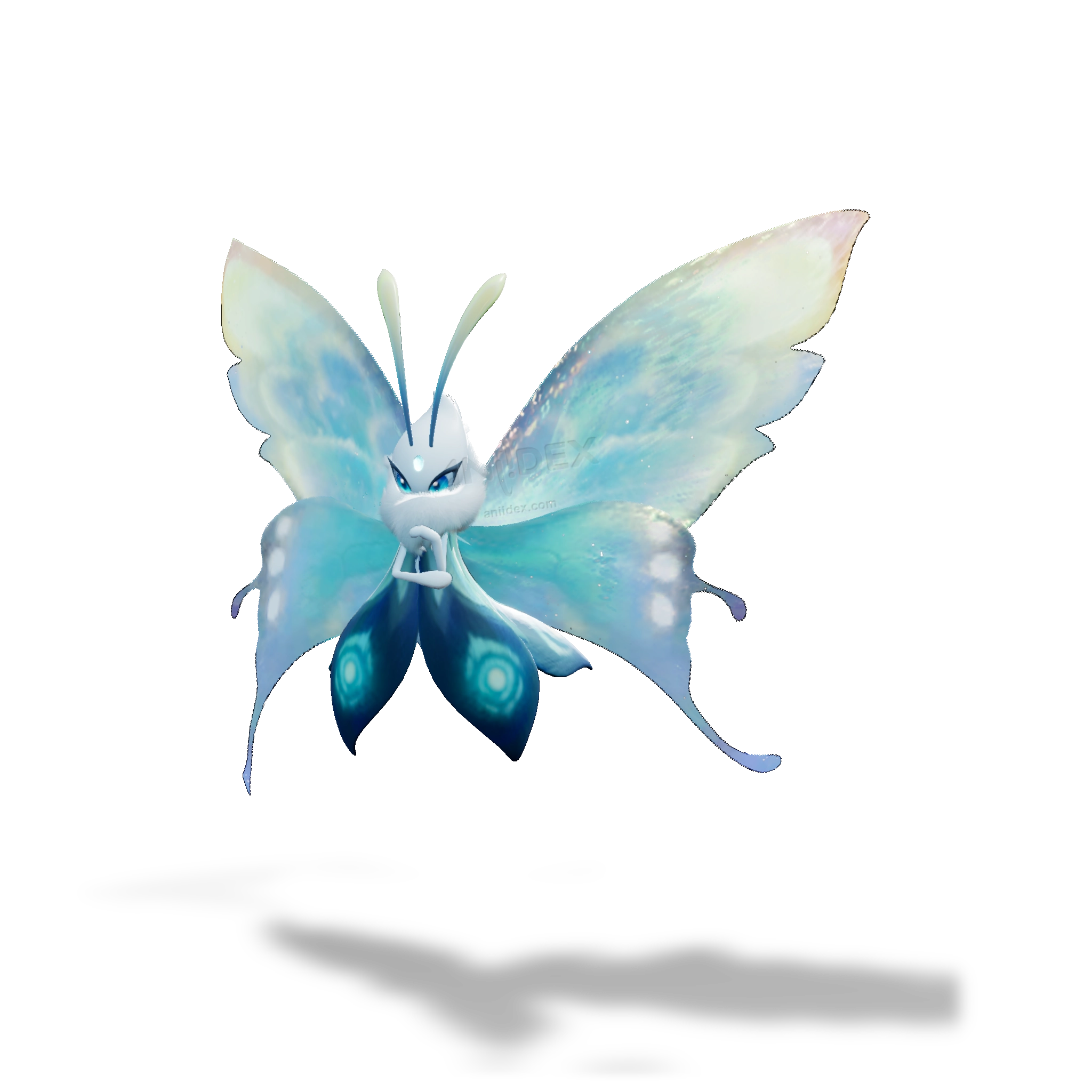 Flimmerflügel, Basisform